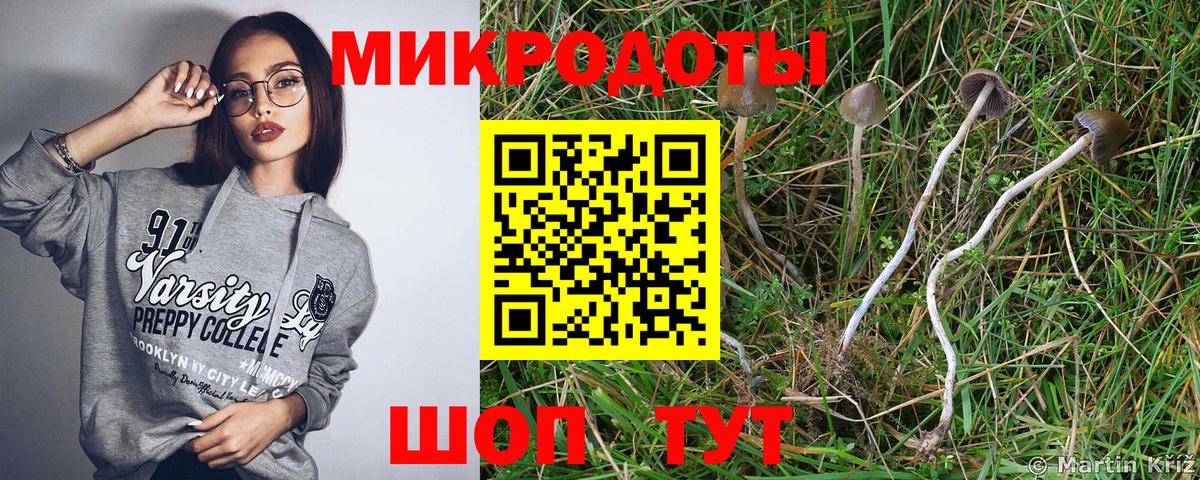 Псилоцибиновые грибы прущие грибы Кудымкар
